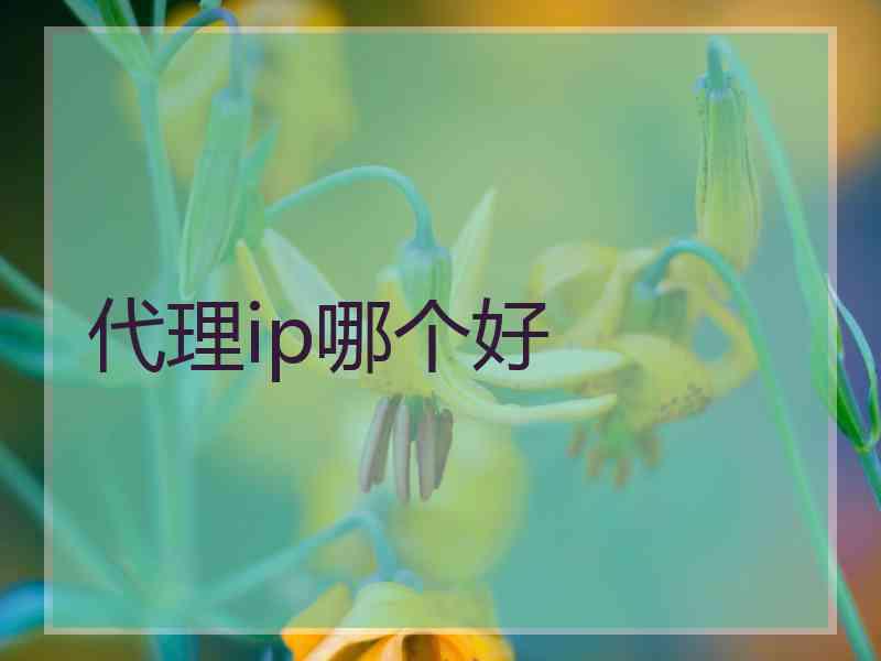 代理ip哪个好