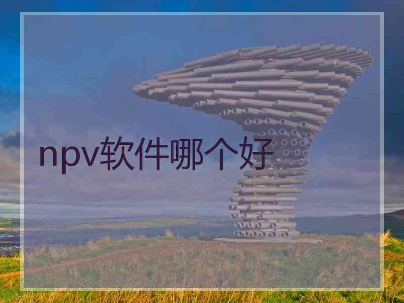 npv软件哪个好