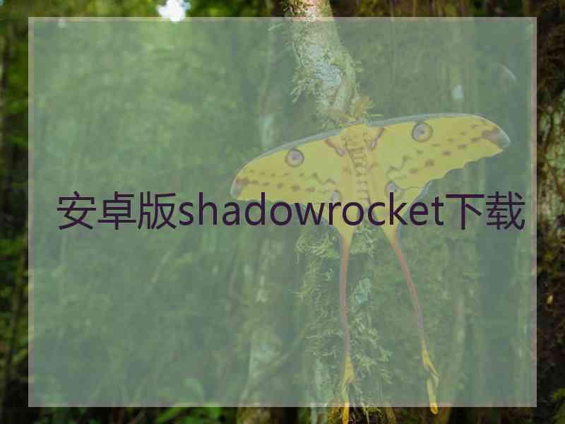 安卓版shadowrocket下载