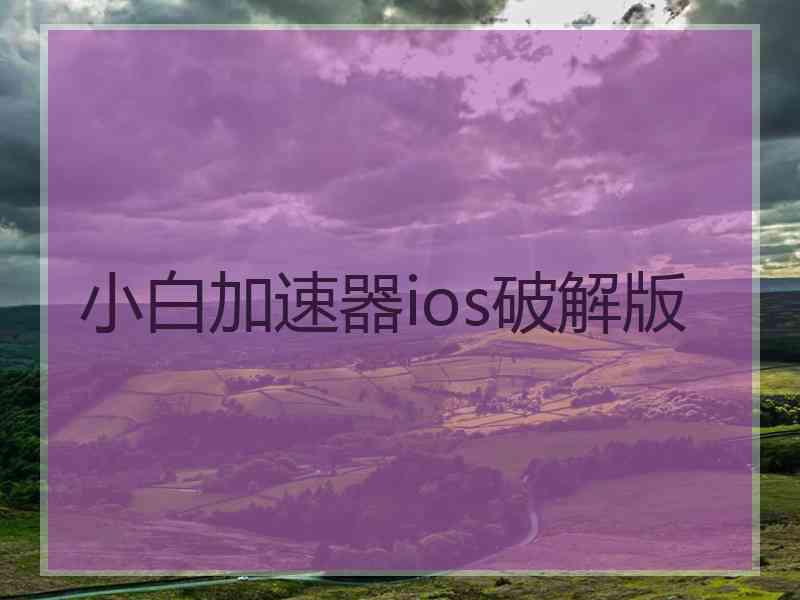 小白加速器ios破解版