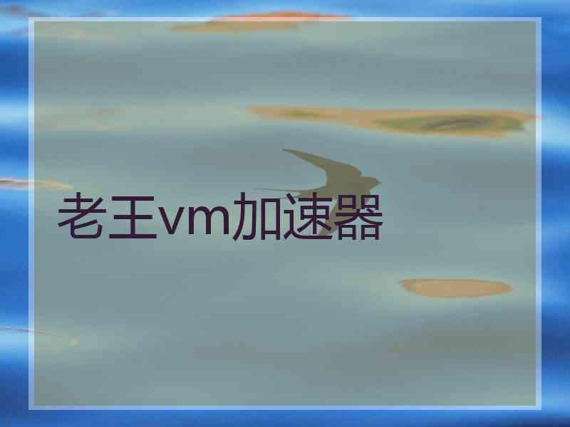 老王vm加速器