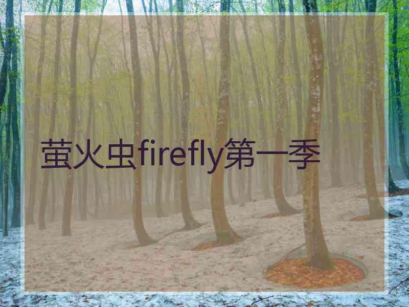 萤火虫firefly第一季