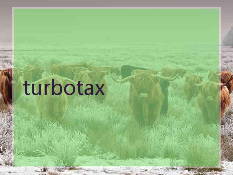 turbotax