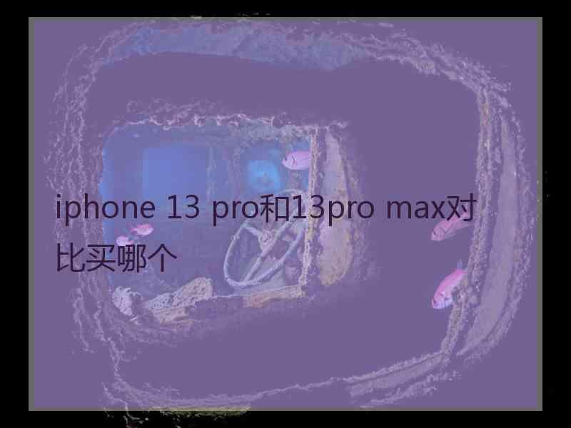 iphone 13 pro和13pro max对比买哪个