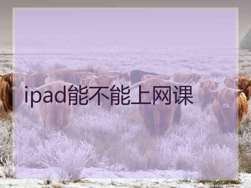 ipad能不能上网课