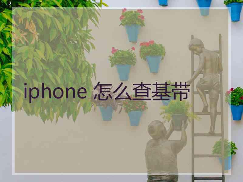 iphone 怎么查基带