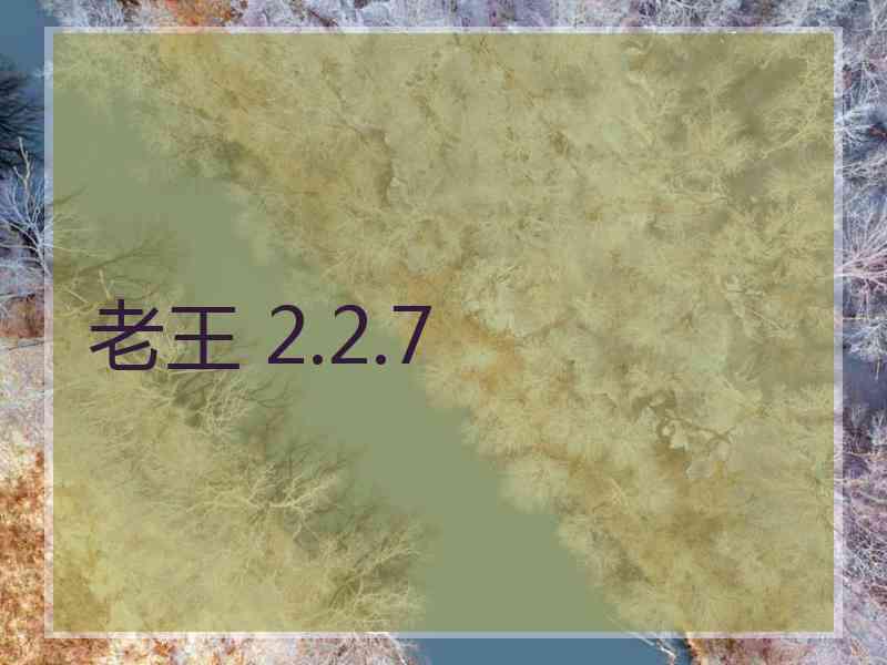 老王 2.2.7