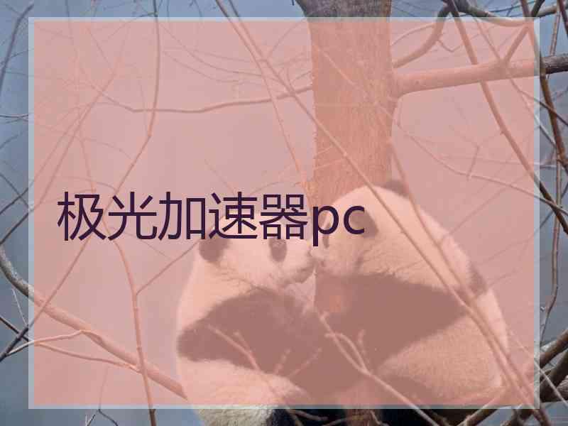 极光加速器pc