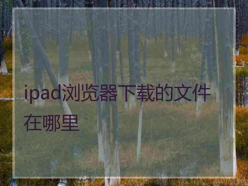 ipad浏览器下载的文件在哪里