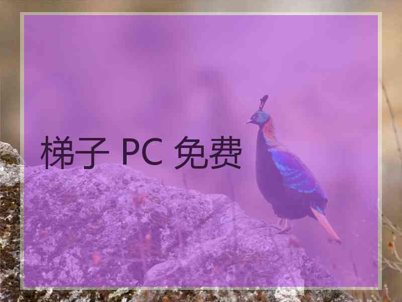 梯子 PC 免费