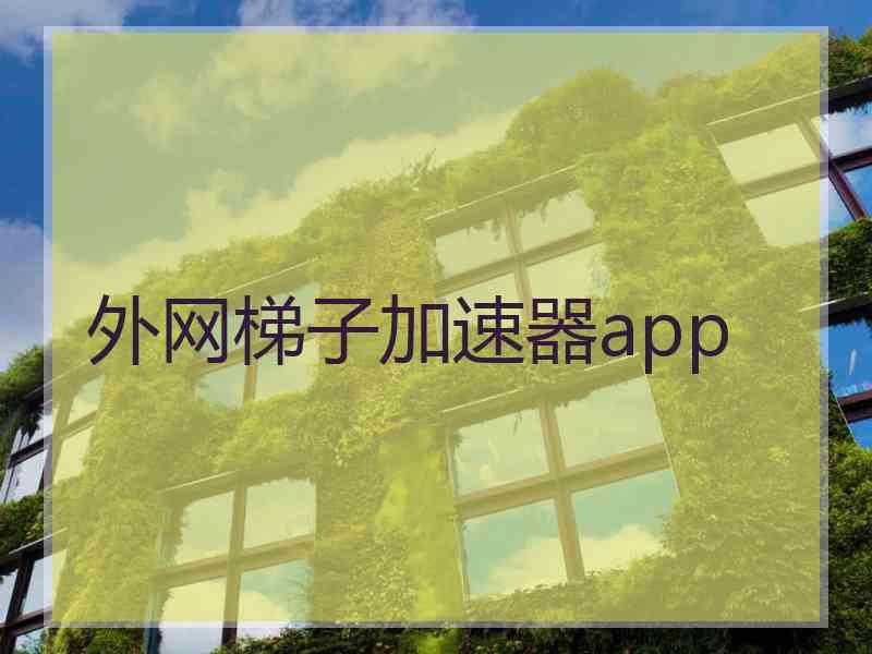 外网梯子加速器app