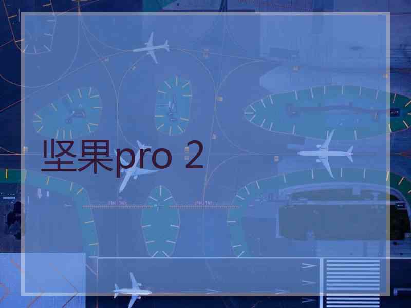 坚果pro 2