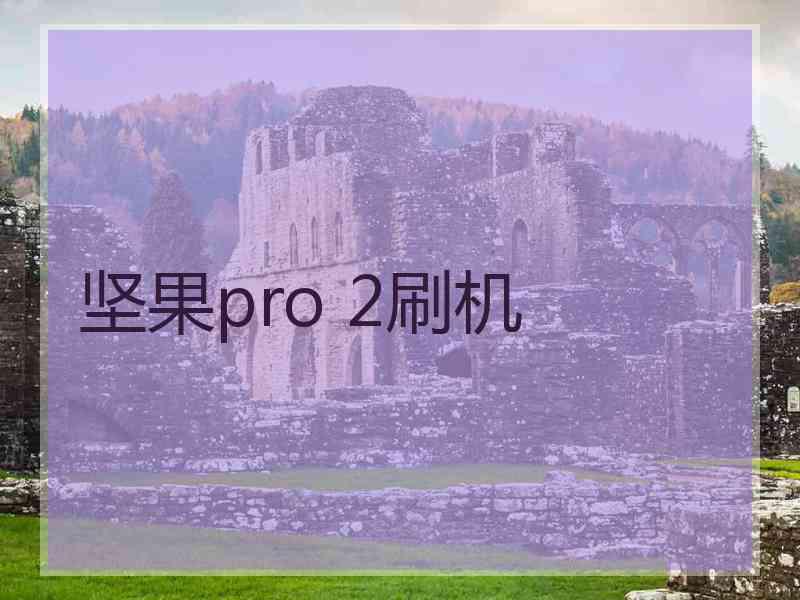 坚果pro 2刷机