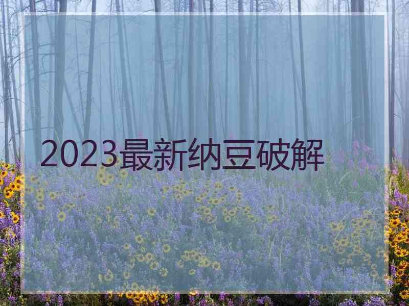 2023最新纳豆破解