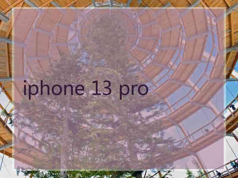 iphone 13 pro