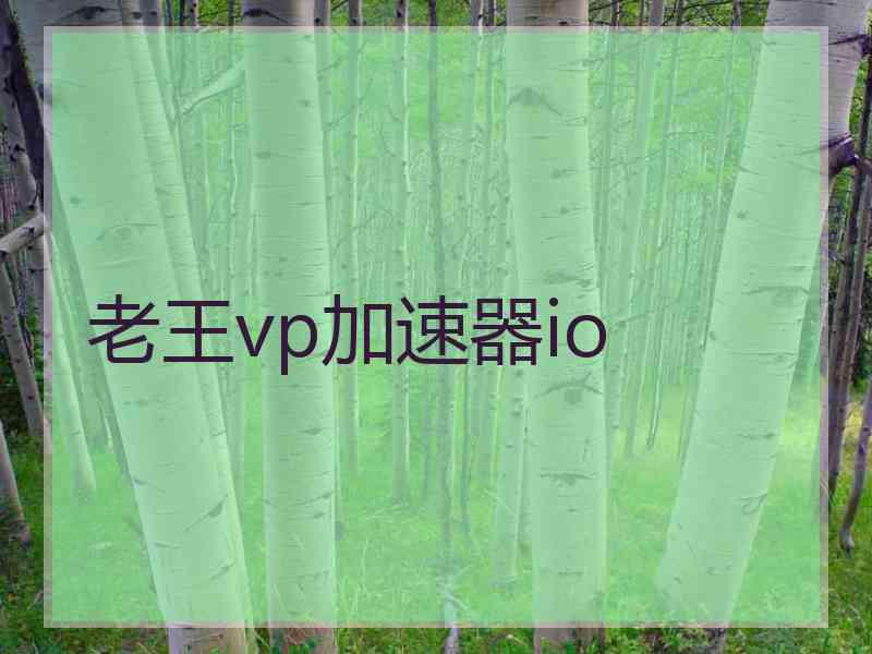 老王vp加速器io