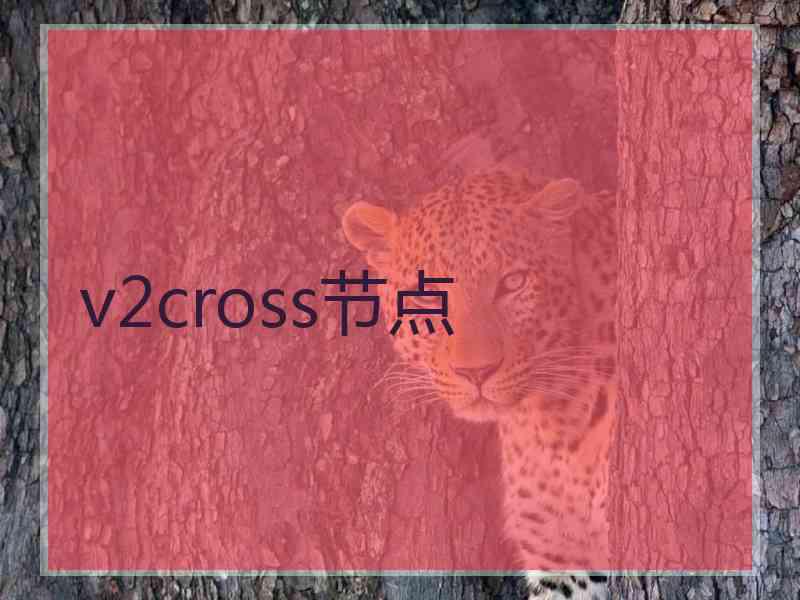 v2cross节点