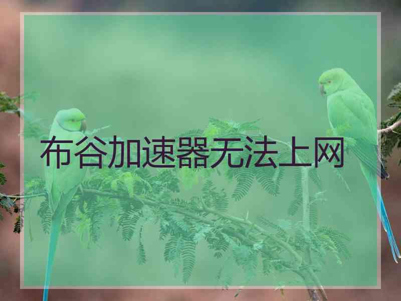 布谷加速器无法上网