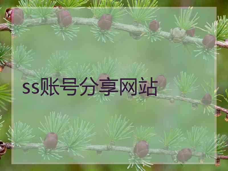 ss账号分享网站