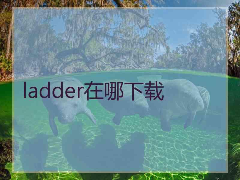 ladder在哪下载