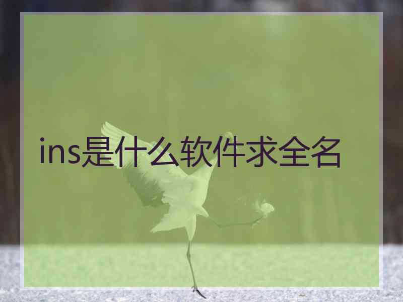 ins是什么软件求全名