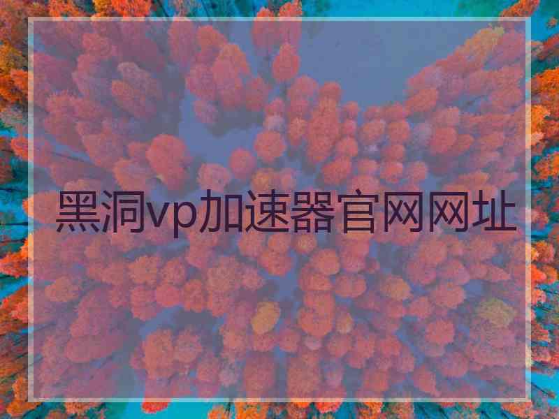 黑洞vp加速器官网网址