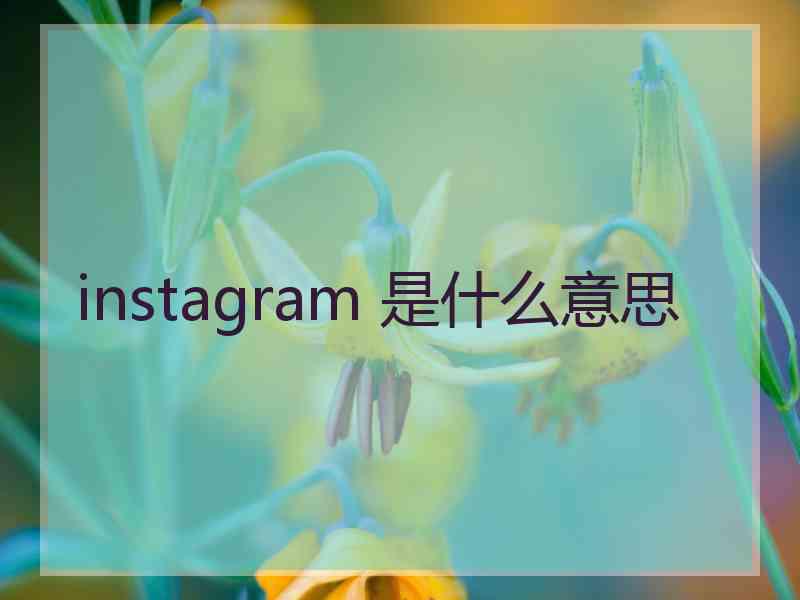 instagram 是什么意思