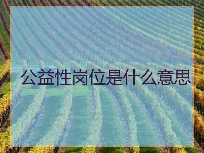 公益性岗位是什么意思