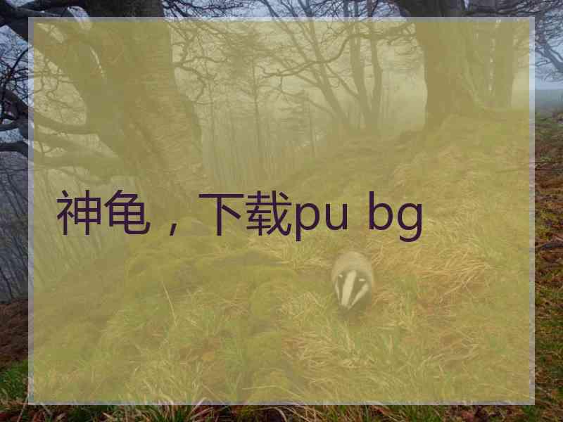 神龟，下载pu bg