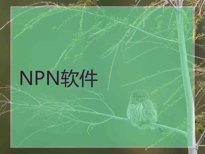 NPN软件