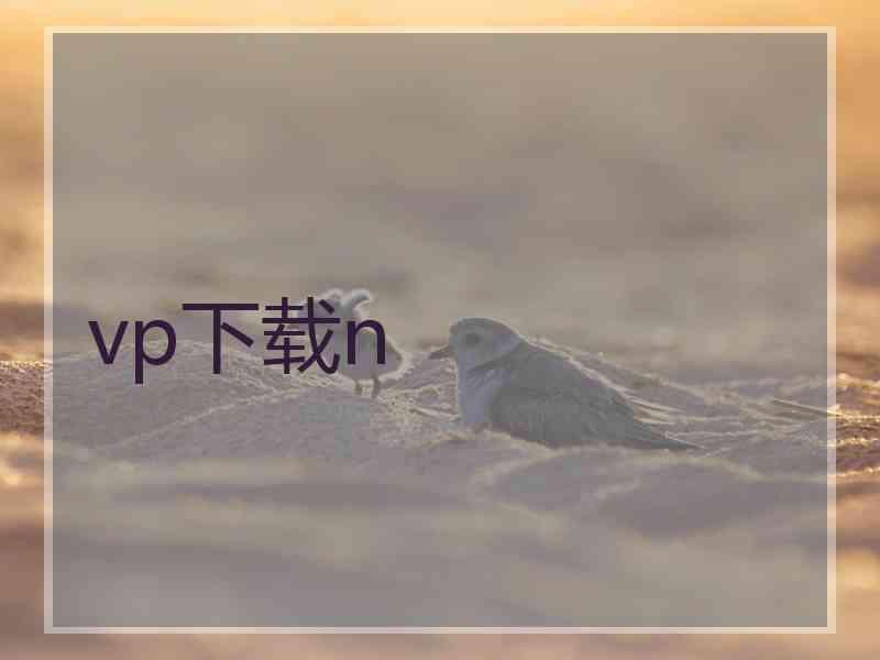 vp下载n