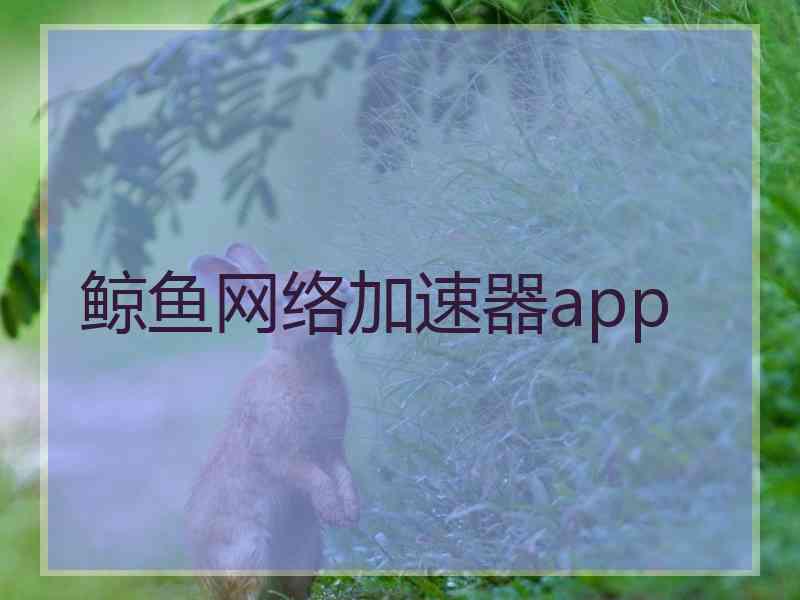 鲸鱼网络加速器app