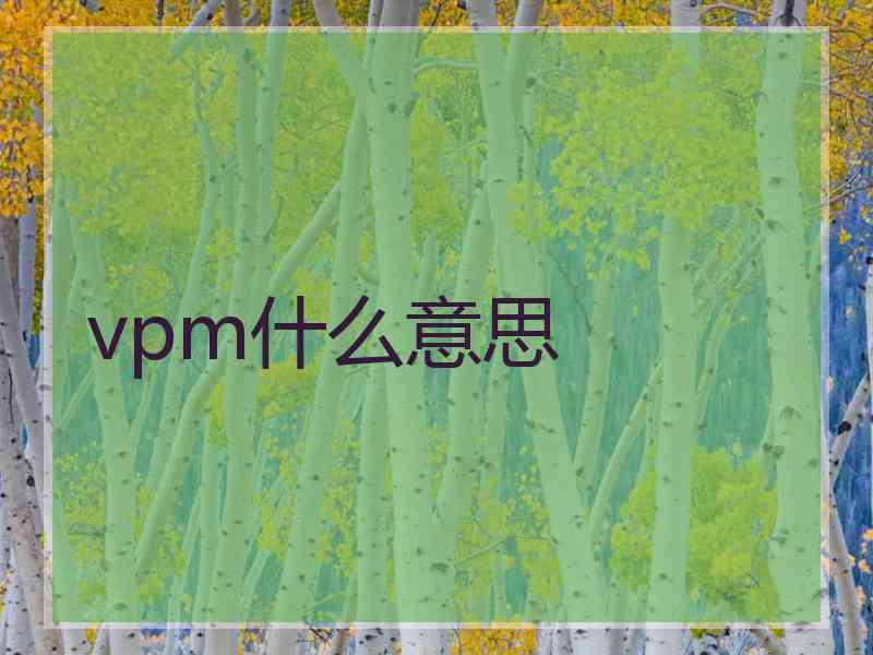 vpm什么意思