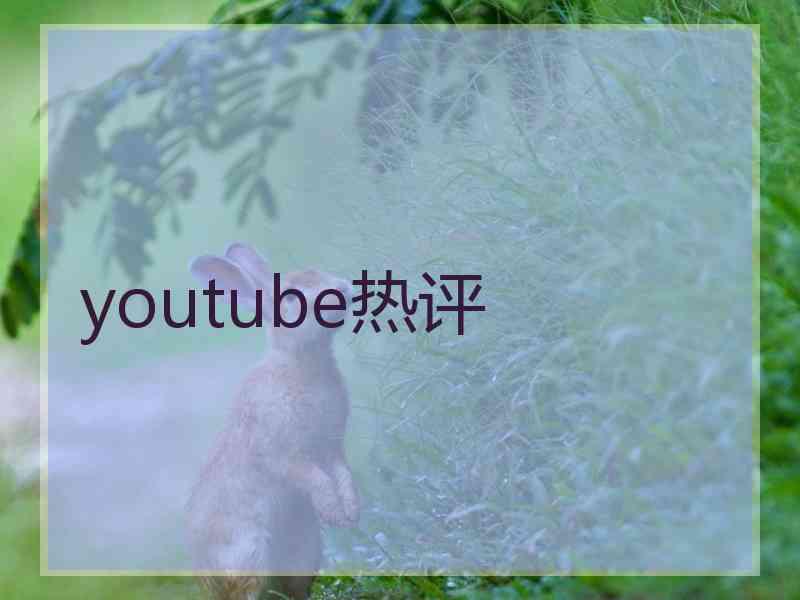 youtube热评