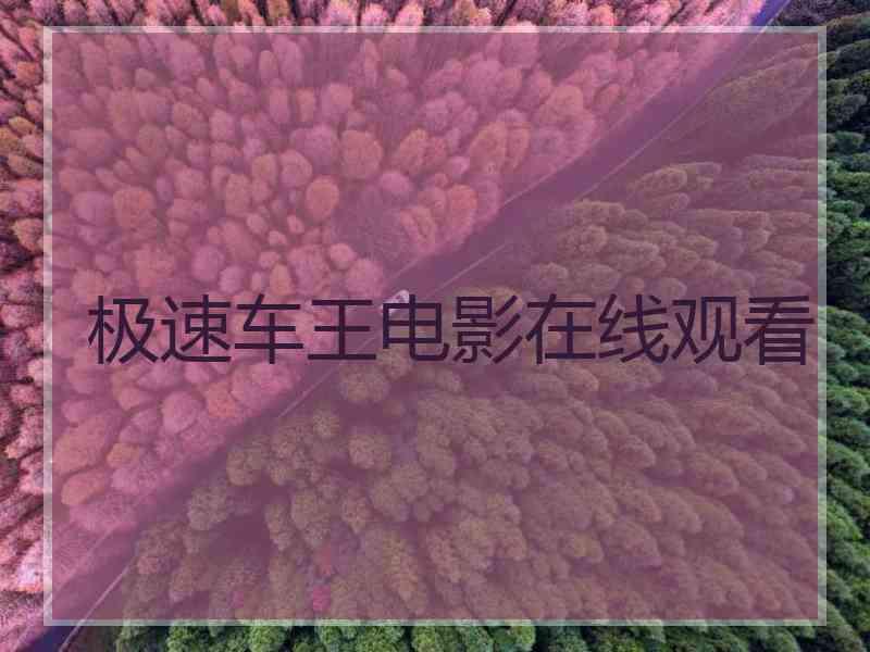 极速车王电影在线观看