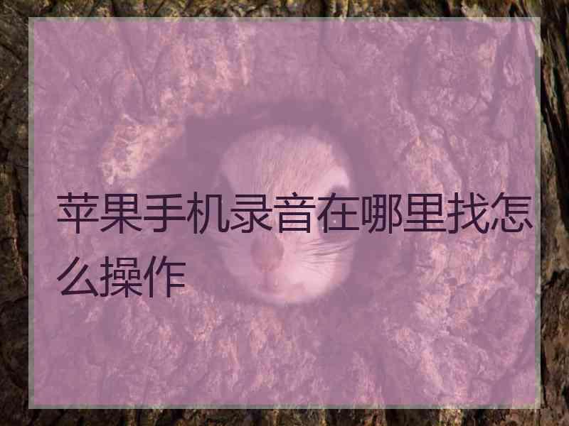 苹果手机录音在哪里找怎么操作