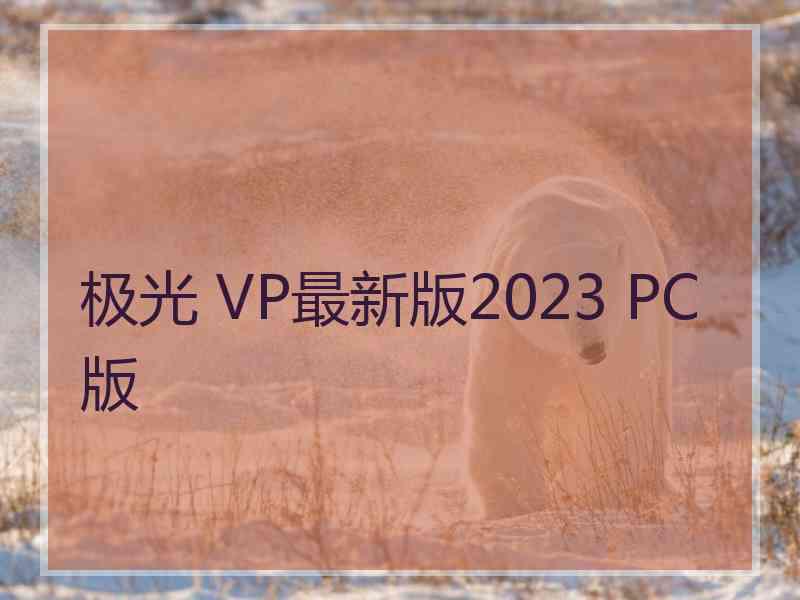 极光 VP最新版2023 PC版