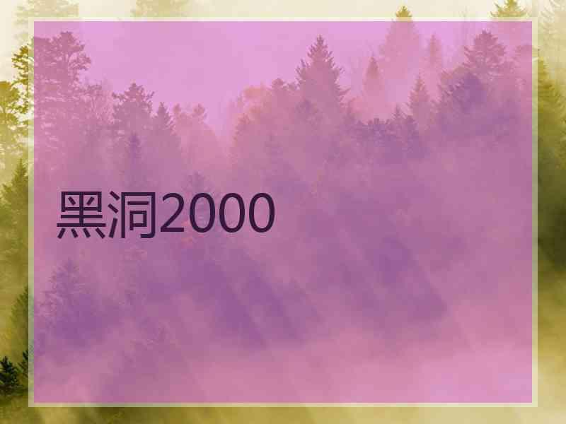 黑洞2000