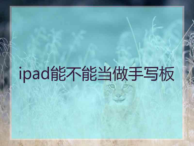 ipad能不能当做手写板