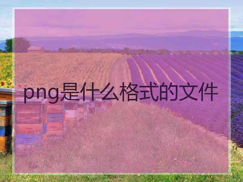 png是什么格式的文件